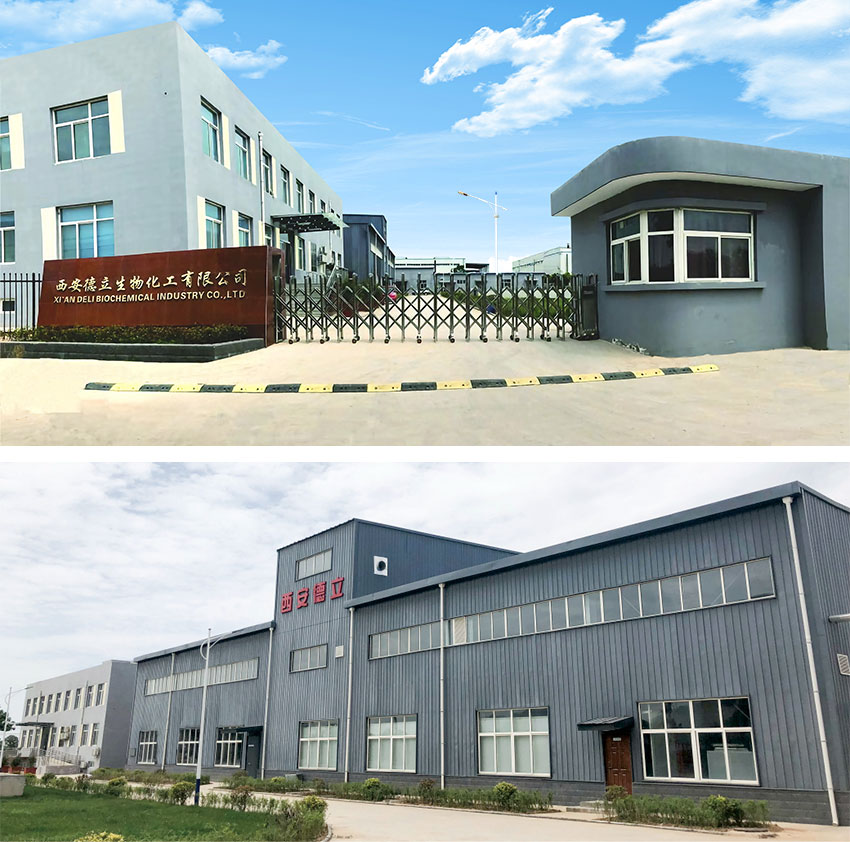Xi'an Deli Biokimyəvi Sənaye Co., Ltd .: Dərman sənayesinə güc verən Cyslodextrin törəmələrində aparıcı yenilik