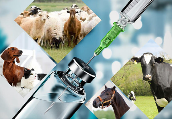 Hydroxypropyl betadex ilə baytarlıq dərmanlarını artırmaq